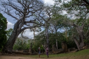 les ruines de Gede