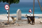 à l'entrée du Wadi Shaab