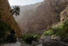 Wadi Tiwi