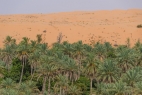 Sharqiya sands